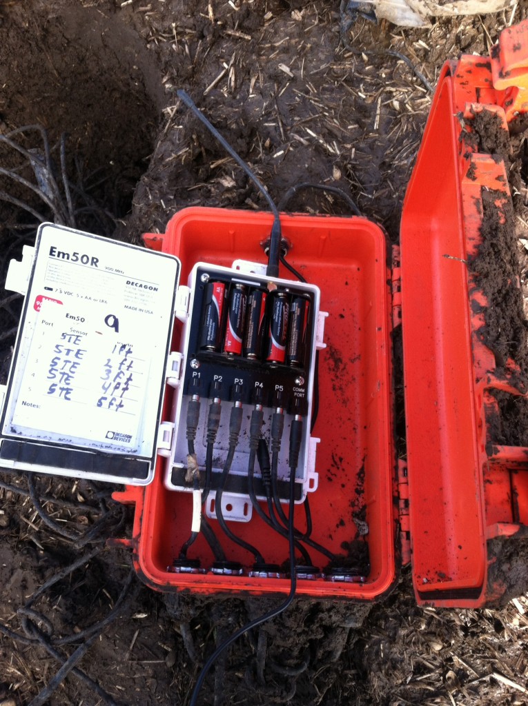 Data loggers To Bury, or Not To Bury (part II) Environmental Biophysics